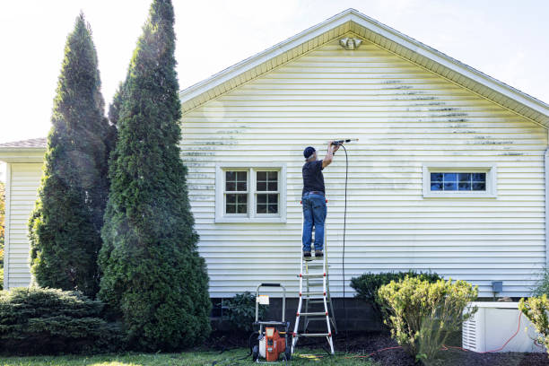 Best Patio and Deck Pressure Washing  in Dunkirk, MD